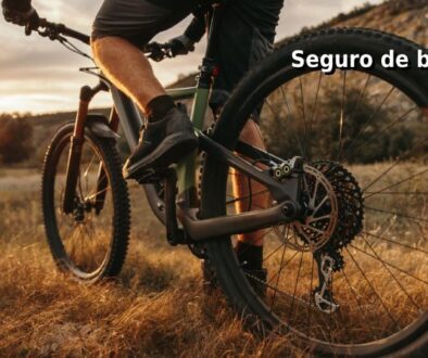 seguro de bicicleta